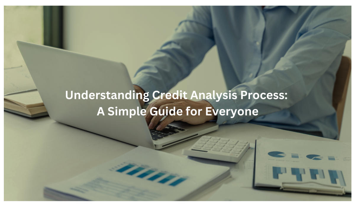 Understanding Credit Analysis Process